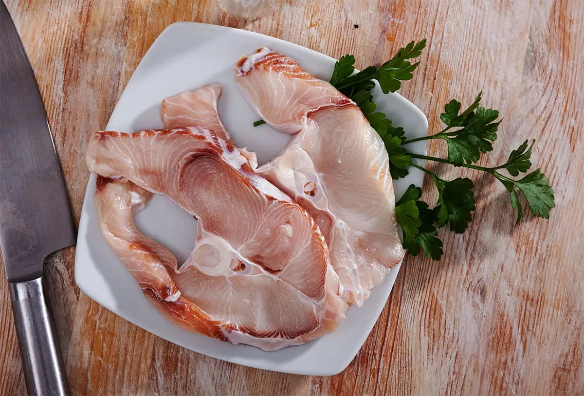 cobia