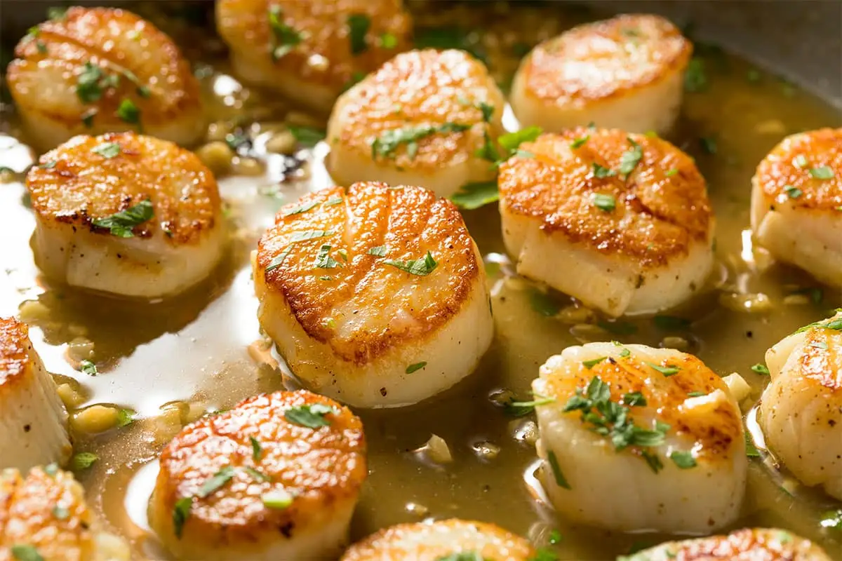 sauteed-seared-scallops